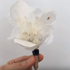 Prendido / Boutonniere de flores preservadas silvestres - LUNA